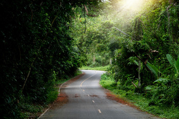Fototapeta na wymiar Country asphalt road forest to Ang Kep Nam Huai Hin Dat of Rayong Thailand.