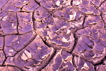  magenta dry and cracked soil texture background