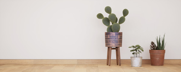 vue 3d cactus dans un pot