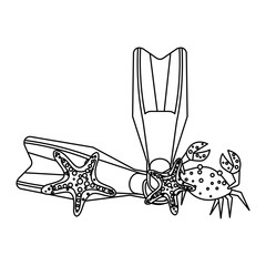 diving fins with crab and starfish