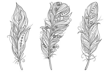 Set of stylized outline feathers on white background. Highly detailed vector illustration doodling and zentangle style