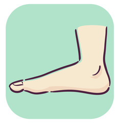Symptoms Flat Footed Feet