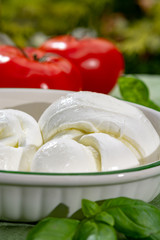 Twisted to form a plait treccia mozzarella Italian soft cheese served with fresh basil and tomatoes