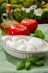 Twisted to form a plait treccia mozzarella Italian soft cheese served with fresh basil and tomatoes