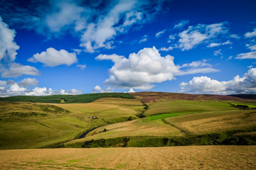 Fototapeta na wymiar Beautiful rolling hills and glen in The Scottish Highlands