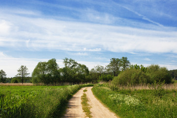Fototapeta na wymiar Rural sand road through summer meadow. Blue sky sunny day landscape.