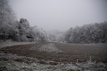 Winter