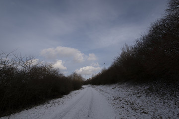 Winter