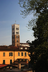Medieval towers in the city of Lucca, Italy