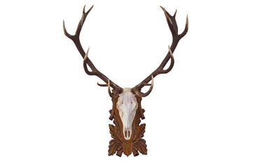 Head skull of deer isolated on white background