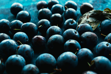 many fresh plums on blue background close up.