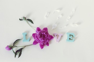 The word love from wooden letters, flowers and petals, on a light background, top view