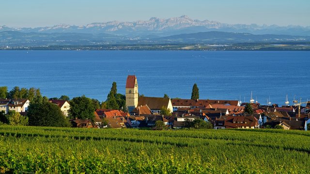 Hagnau Village and Vineyard Overlooking Lake Constance with Alpine Backdrop, Germany