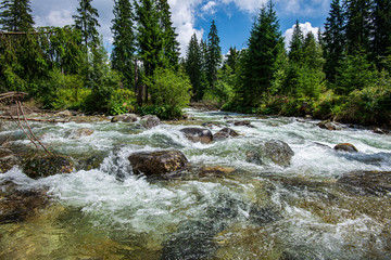 forest mountain river with waterfall over the rocks