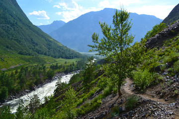 Naklejka na ściany i meble River in the mountains, a tree and a trail.