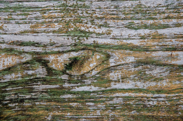 Obraz premium Old wooden floor with blurred pattern background