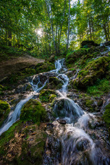 forest mountain river with waterfall over the rocks