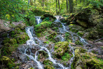 forest mountain river with waterfall over the rocks