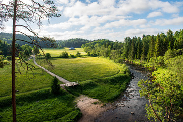 scenic beautiful tourist trail footpath in green forest