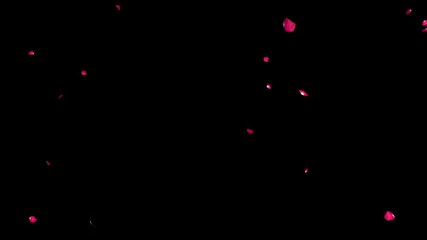 Search Photos On Black Background