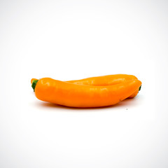Yellow hot chili pepper isolated on the white background.