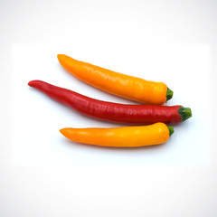 Red hot chili pepper isolated on the white background.