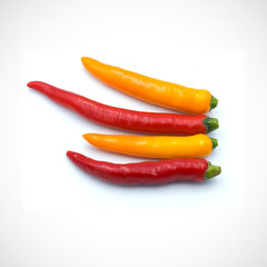 Red hot chili pepper isolated on the white background.