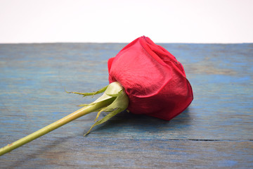 Rosa roja sobre una mesa de madera 