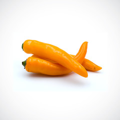 Yellow hot chili pepper isolated on the white background.