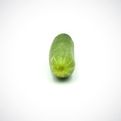One cucumber on a white background