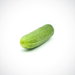 One cucumber on a white background