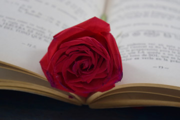 Rosa roja sobre las paginas de un libro abierto 
