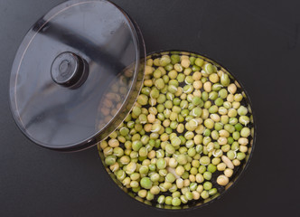 device for germination of seeds and obtaining useful sprouts for salads