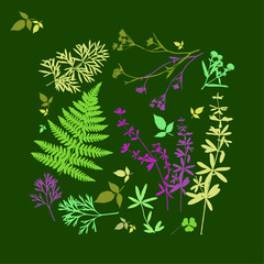 Fototapeta na wymiar Set of silhouettes of botanical elements. Branches with leaves, herbs, wild plants, trees. Garden and forest collection of leaves and grass. Vector illustration on green background 