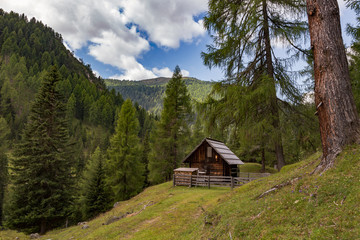 Fototapeta na wymiar Holzhaus im Wald Alpen Österreich