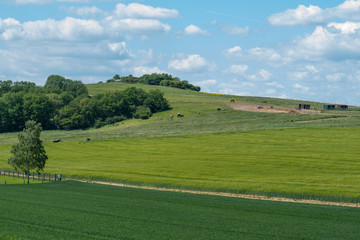 Naklejka premium Eifel Landschaft 