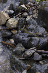 Dark background of Wet stones in mountain river
