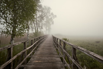 Wooden boardwalk "Federseesteg" leading into foggy landscape in Bad Buchau, Germany