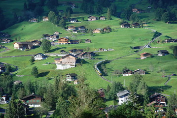 Fototapeta na wymiar Gründenwald, Swiss