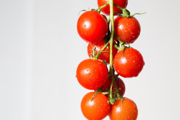 The photo shows a branch of juicy, red, tomato on a white background.