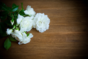 bouquet of beautiful white roses on table