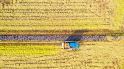 Fototapeta na wymiar Aerial top view of Harvester machine working in rice field from above