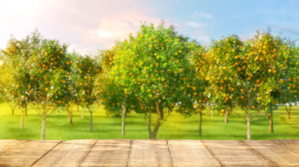 Wooden table top with free space for product and blurred orange garden trees with orange fruits in sun light. Oranges, orange juice, smoothie, yogurt product advertising key visual design elements. 3D