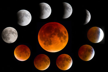 Obraz premium Phases of a Blood Moon Eclipse
