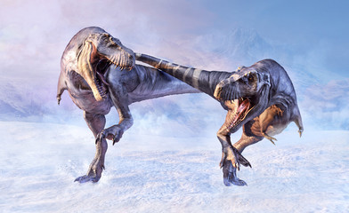 Two danger carnivore predators Tyrannosaurus Rex at winter scene.  Prehistoric landsape with strong dangerous angry dinosaurs t rex. 3D illustration.