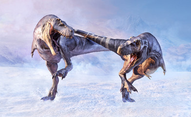Two danger carnivore predators Tyrannosaurus Rex at winter scene.  Prehistoric landsape with strong dangerous angry dinosaurs t rex. 3D illustration. © Corona Borealis