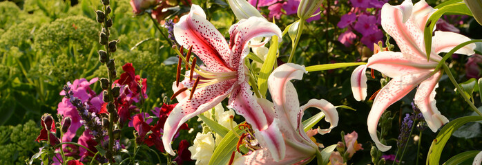 Garten 928 © K.-U. Häßler