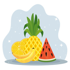 tropical pineapple with lemon and watermelon fruits