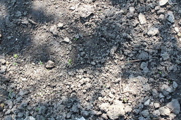 texture of earth