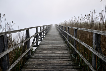 Obraz premium Long boardwalk Federseesteg on a foggy morning with reed fields in Bad Buchau, Germany